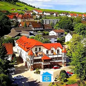Rebstock 4* Baden-Baden